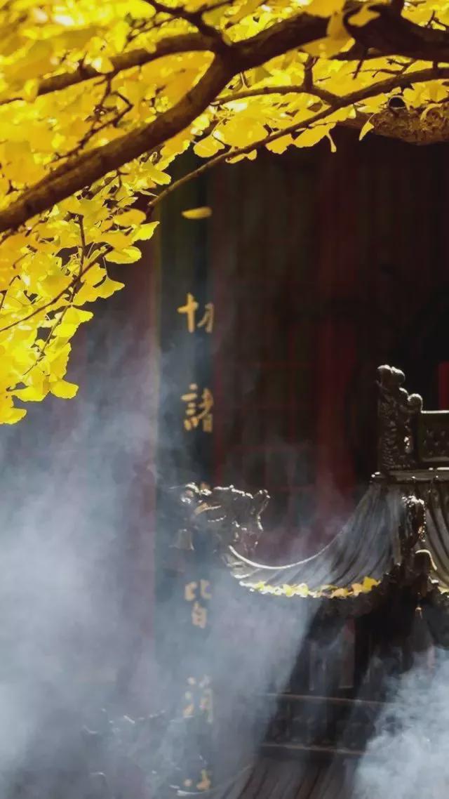 (三) 这哪里是在修行