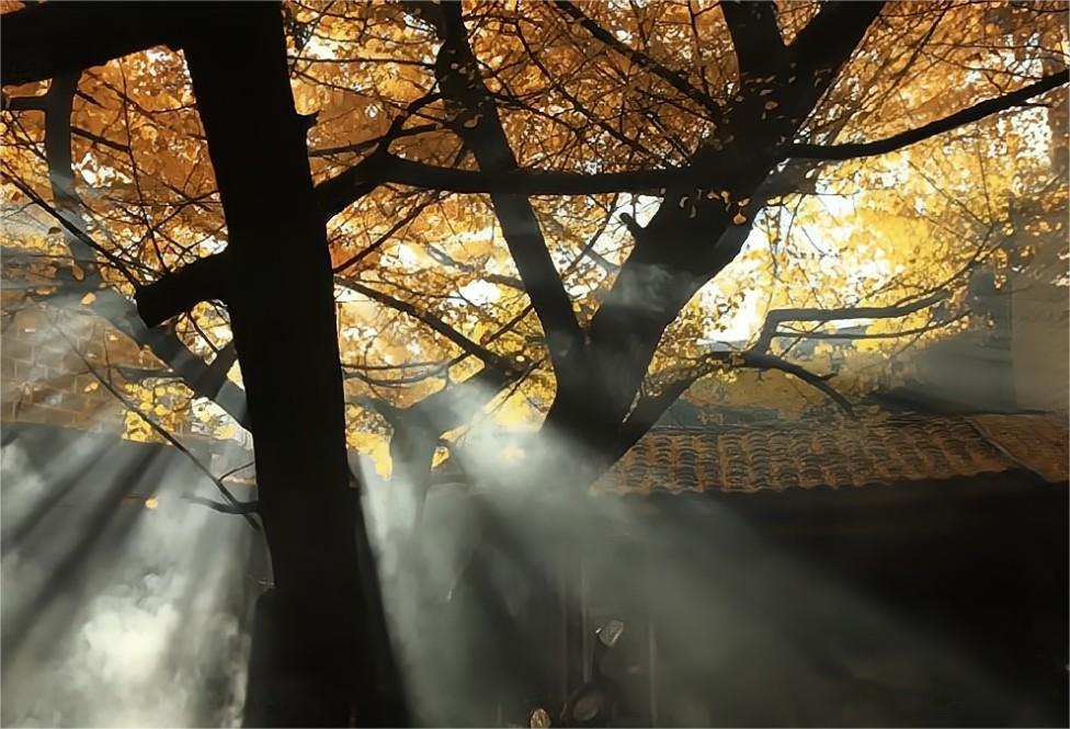 (二十四)真正的法会在哪里