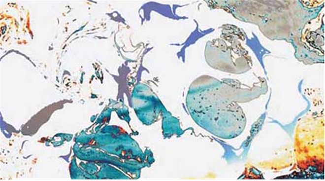 H.H.第三世多杰羌佛工巧明之油画 2021-01-24 09:41-图片10