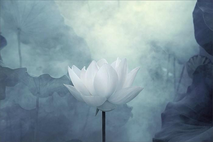 邀您欣赏佛陀所作之部份诗词歌赋！-图片37